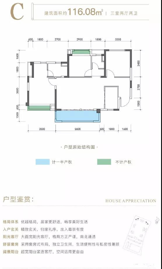 C户型-116.08㎡户型图