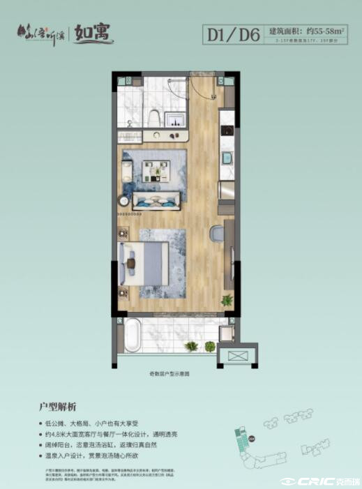D1/D6户型图