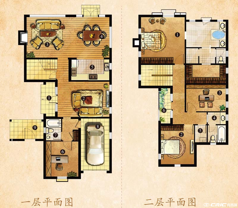 C户型图