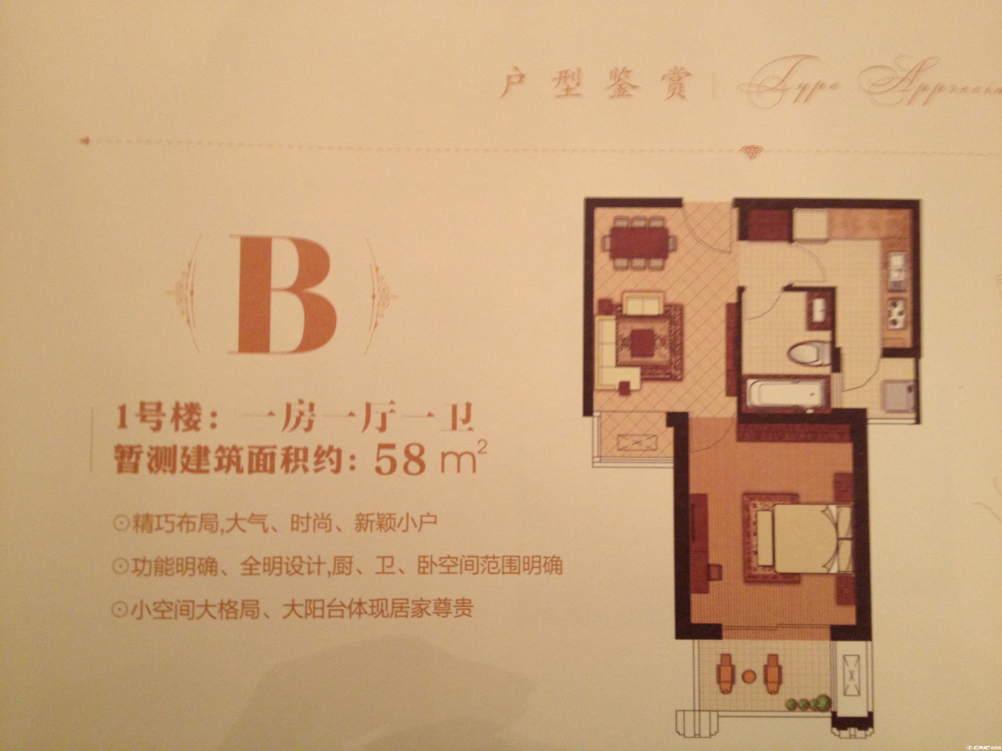 B户型图
