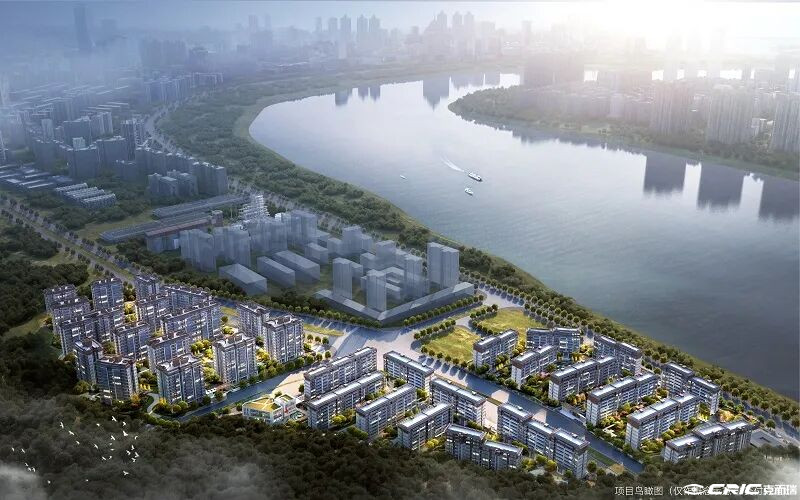 中绿江州