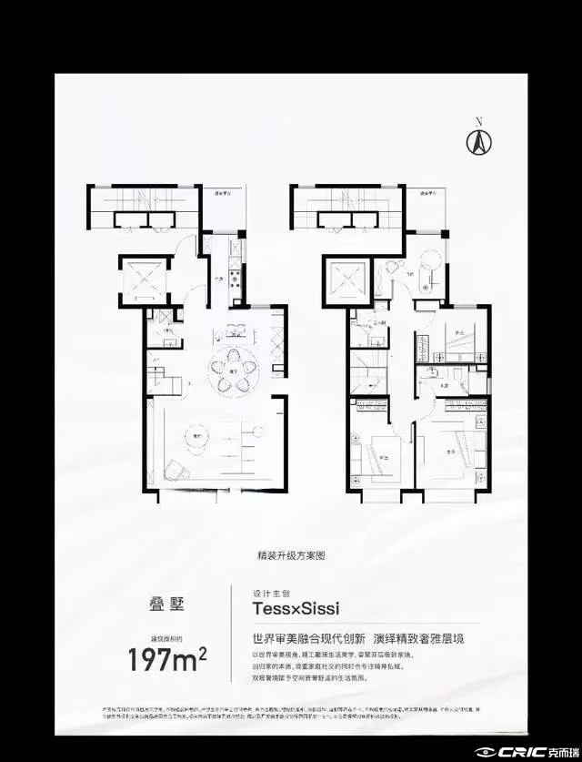 D户型图
