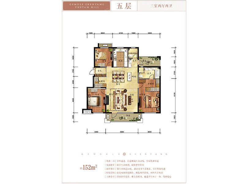 大洋房-5F户型图