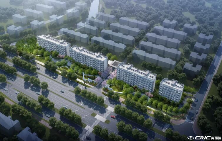 龙游茗著