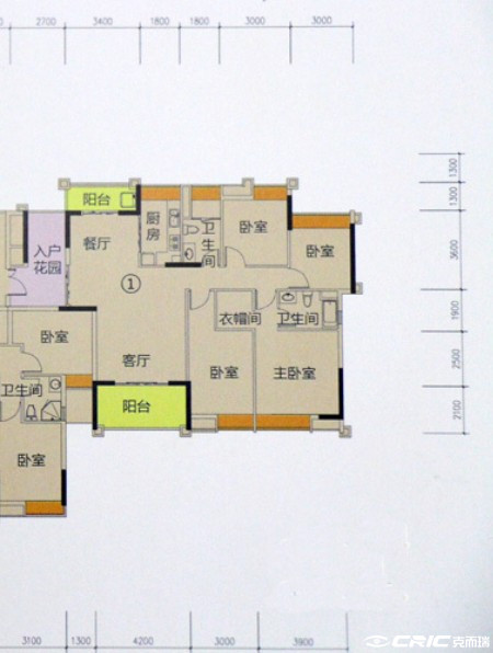 D户型图