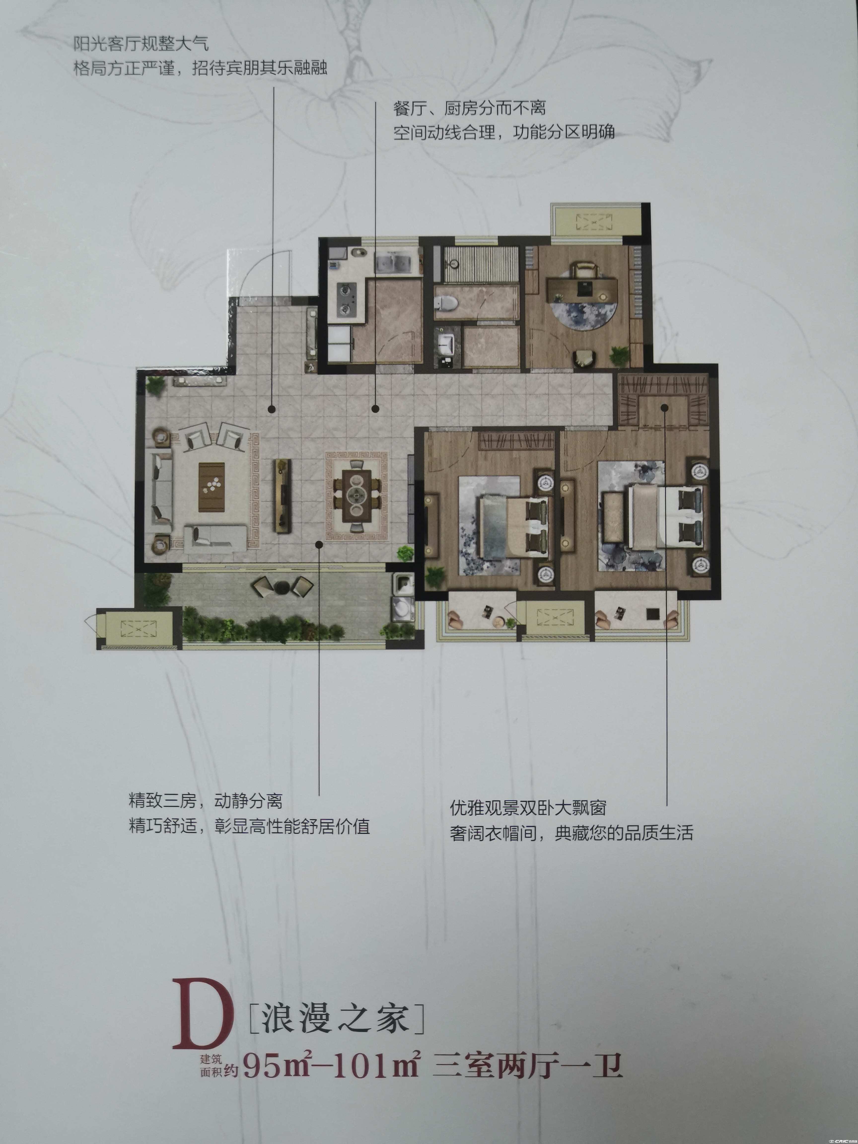 D户型图