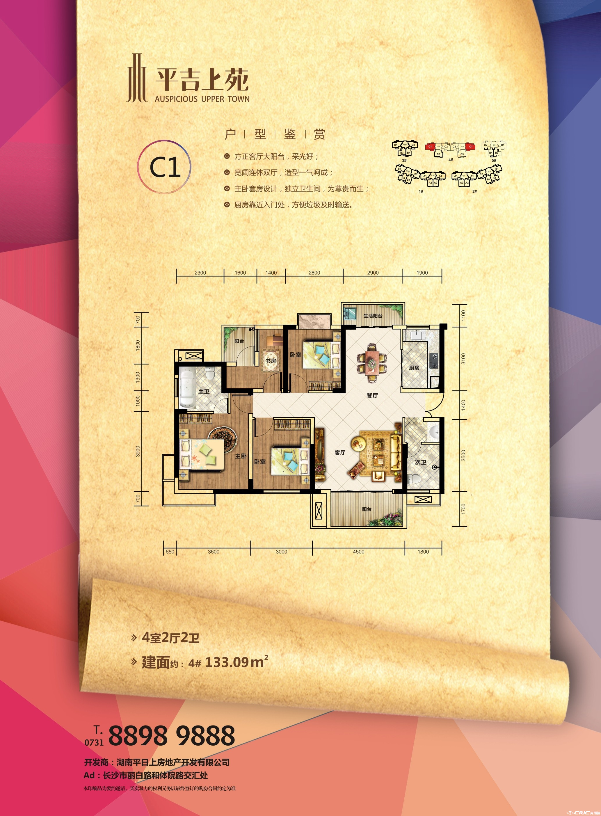 C1户型图