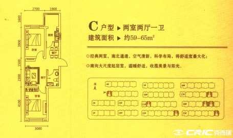 C户型图