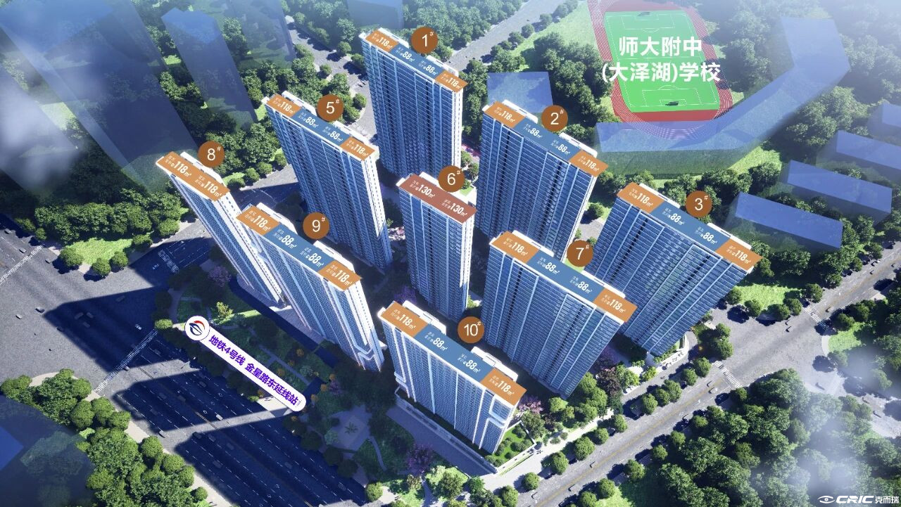 项目效果图