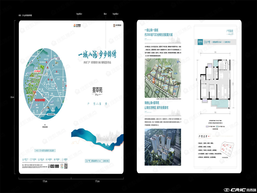 D1户型图
