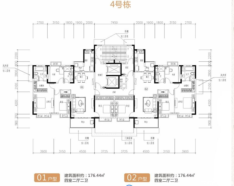 C户型图