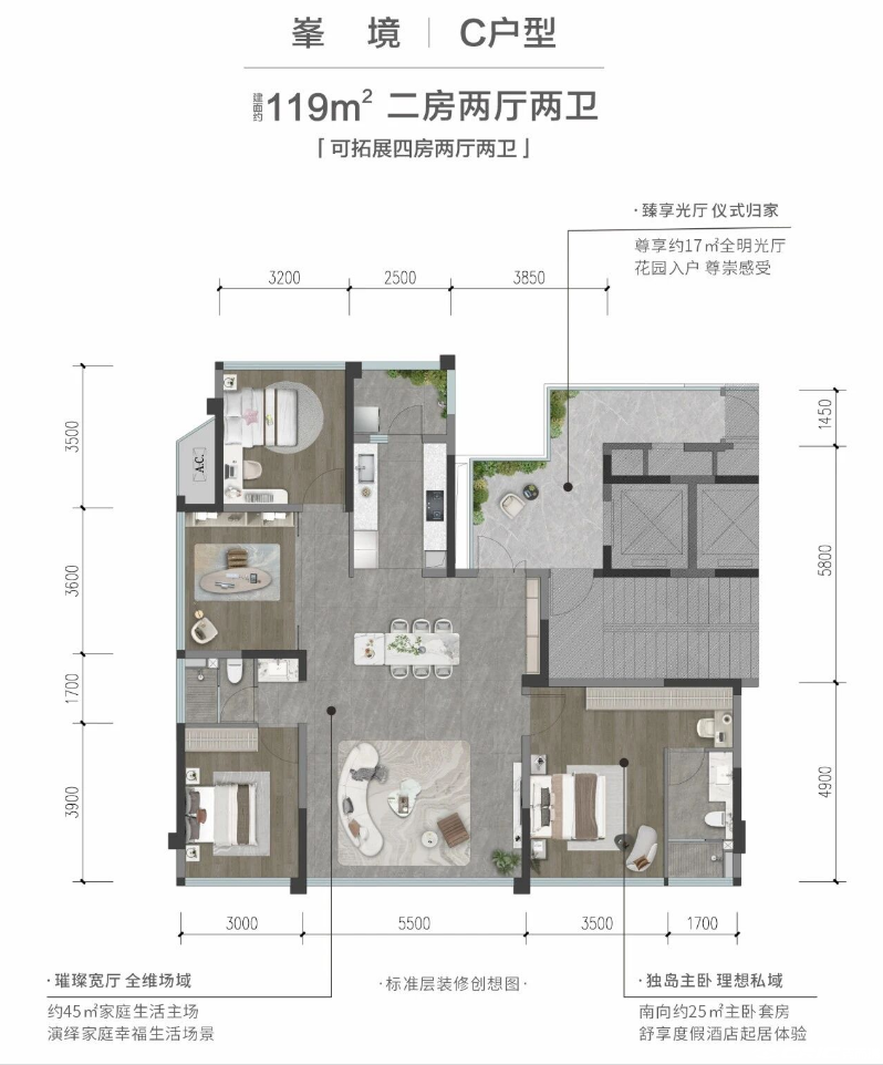 C户型 约119㎡户型图