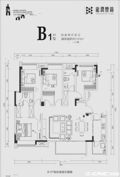 B1(145)户型图