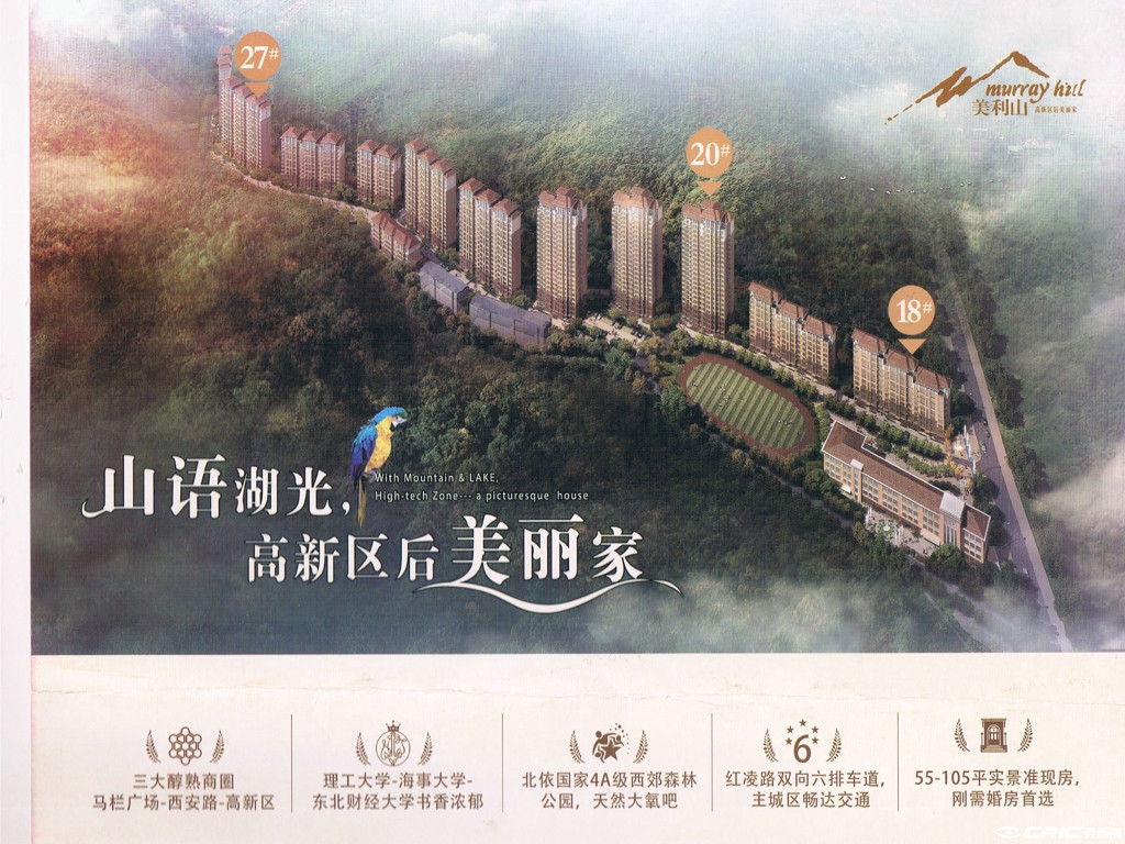 项目效果图