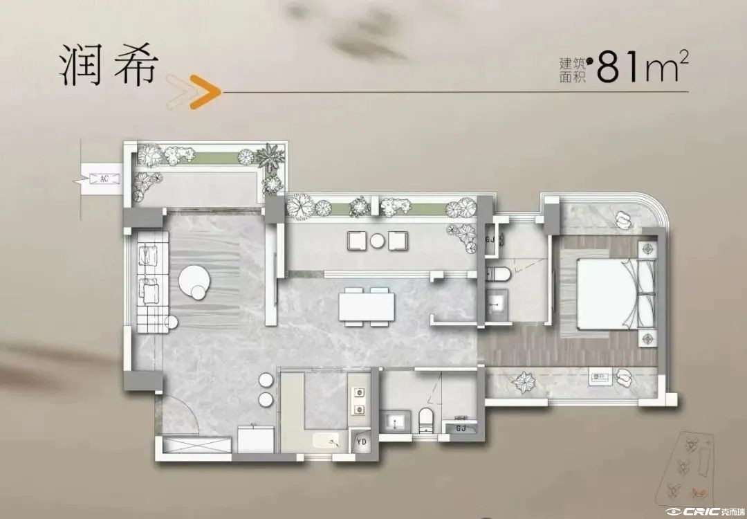 C81户型图