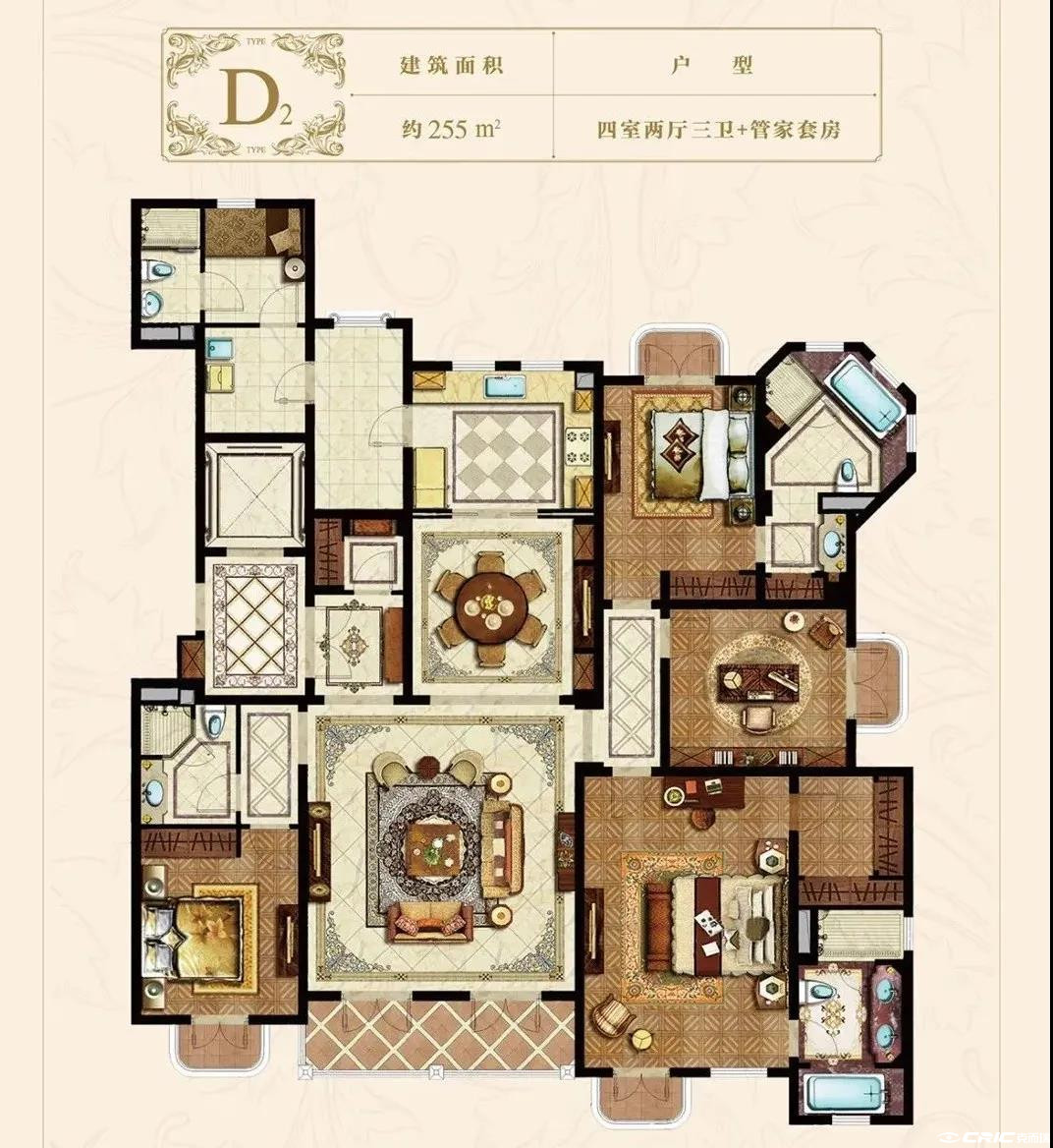 D2户型图