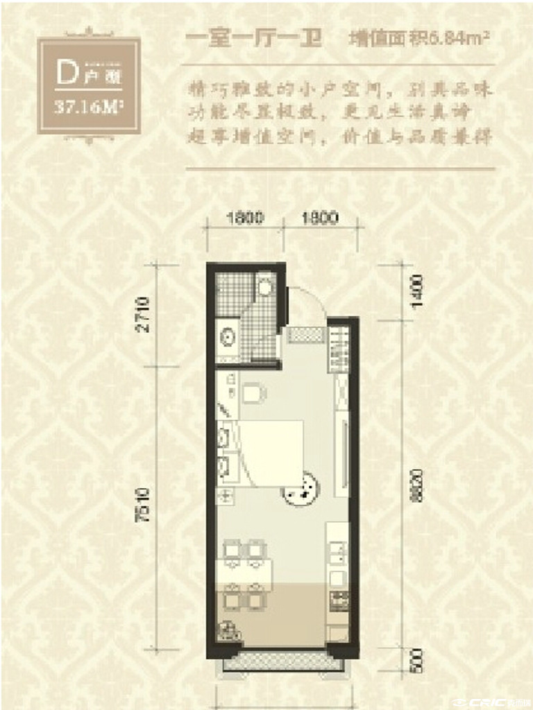 D户型图