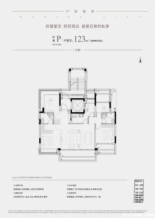 P(平层)户型图