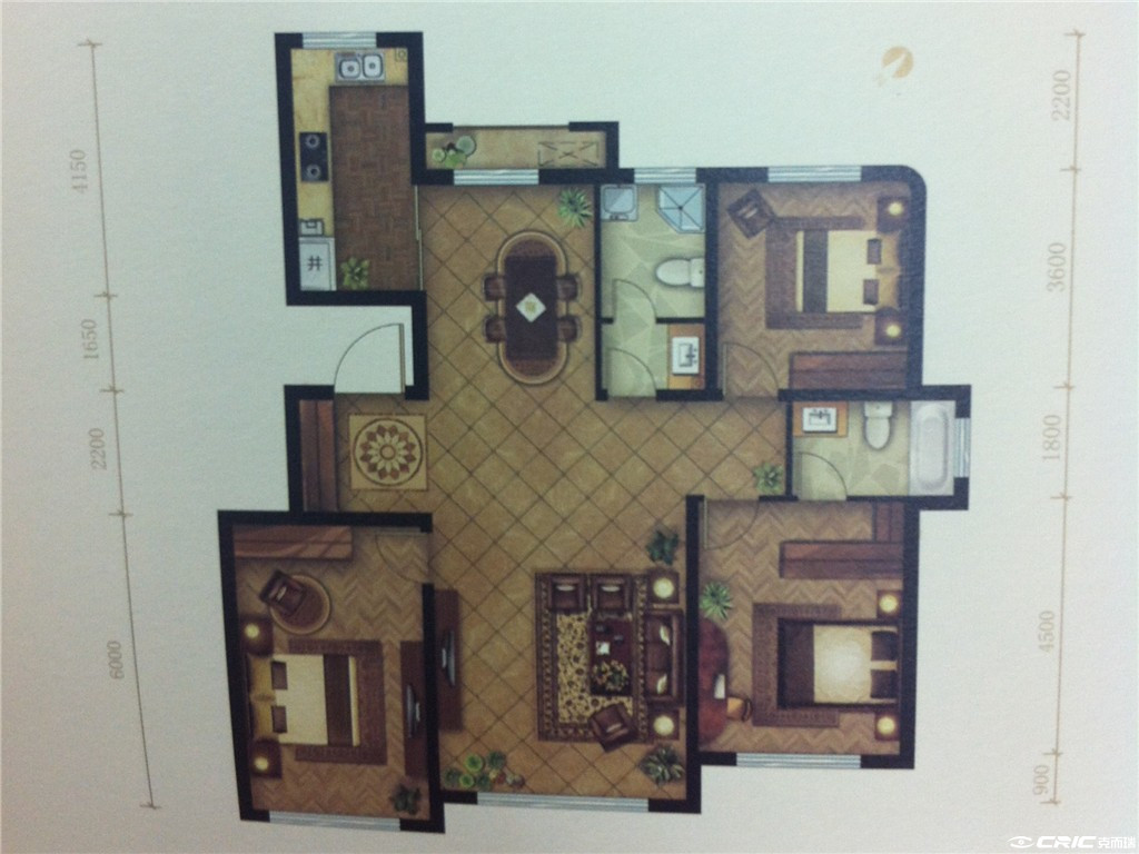 D户型图