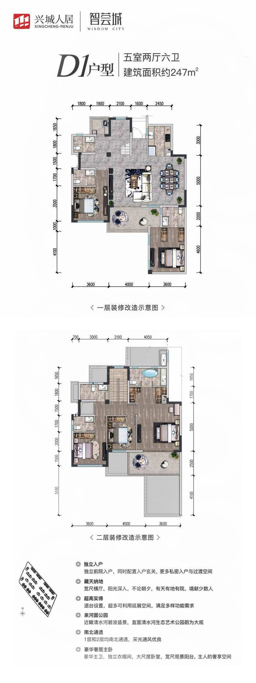 D1户型户型图