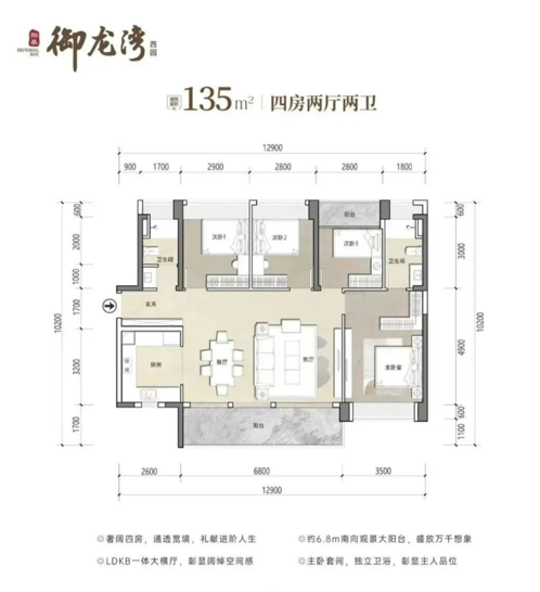 135户型图