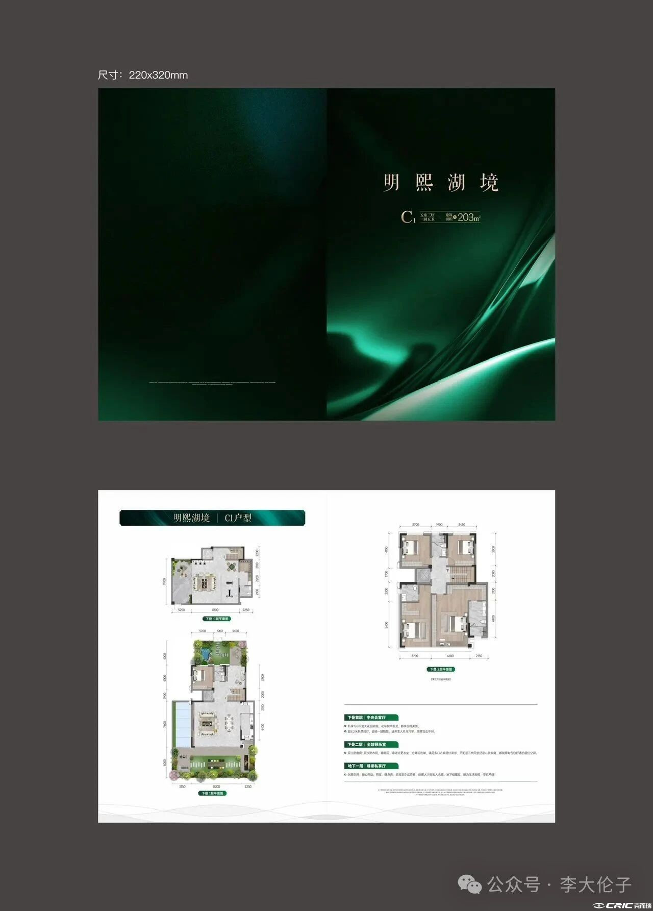 下叠203户型图