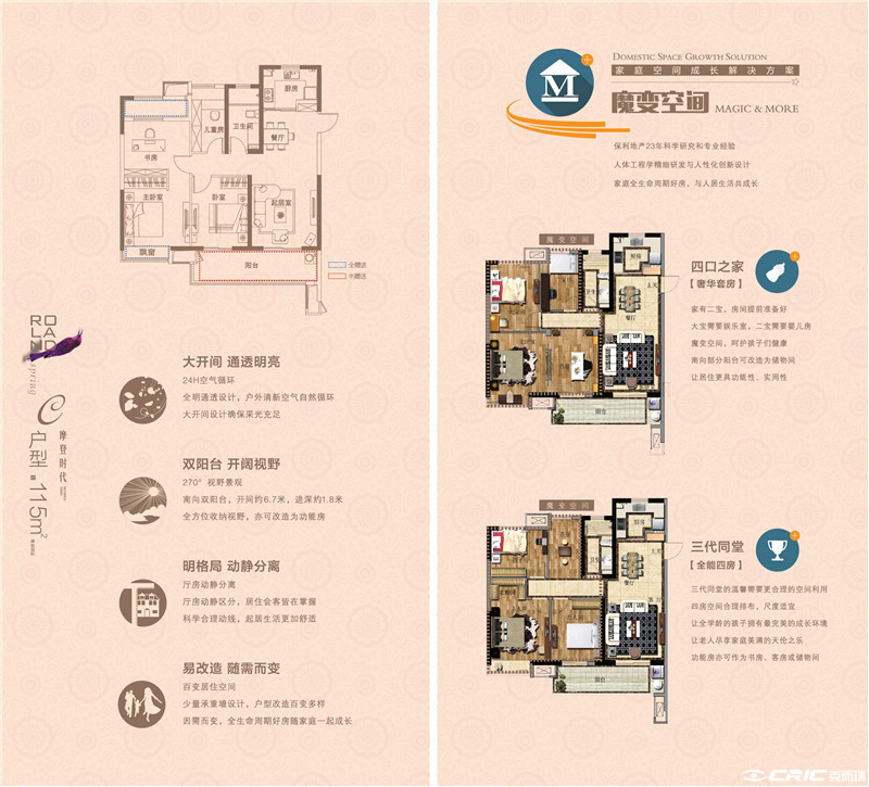 C户型图