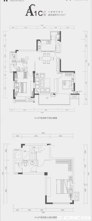 A1c(155)户型图