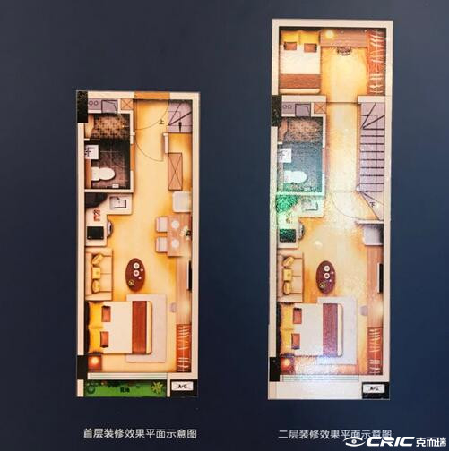 C户型图
