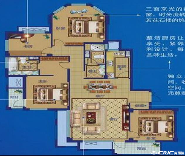 D1户型图