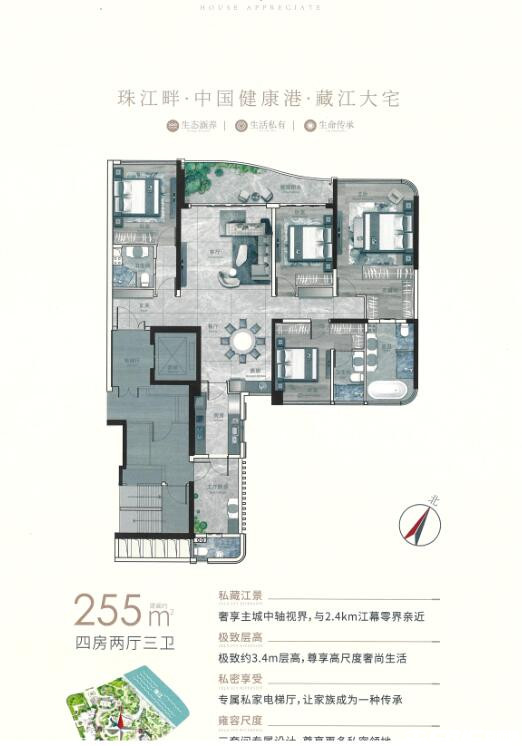 255㎡户型户型图