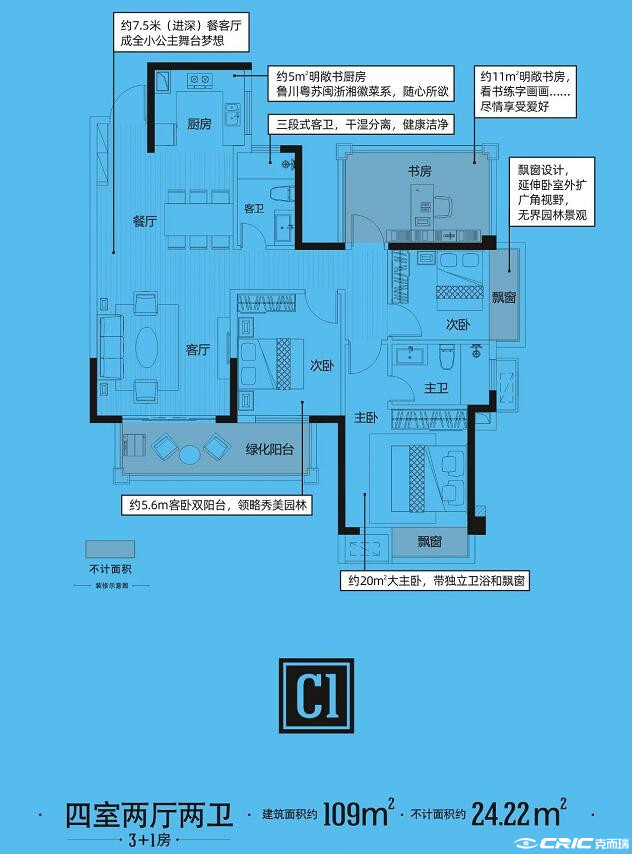 C1户型图