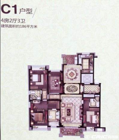 C1户型图