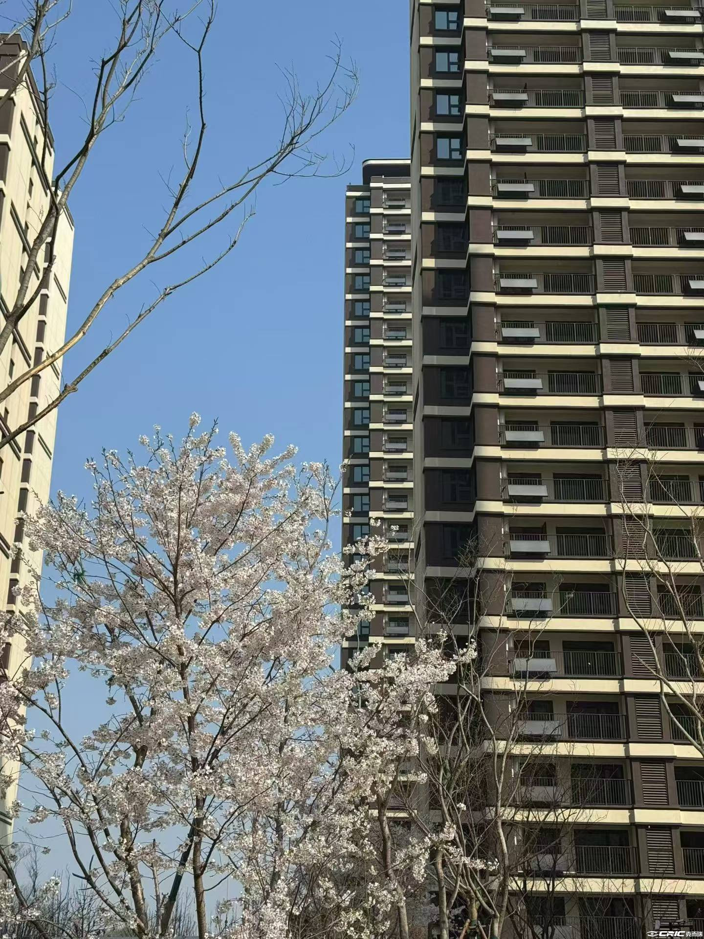 中国铁建峯悦湾 效果图