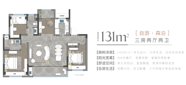 A户型图