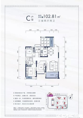 C户型户型图