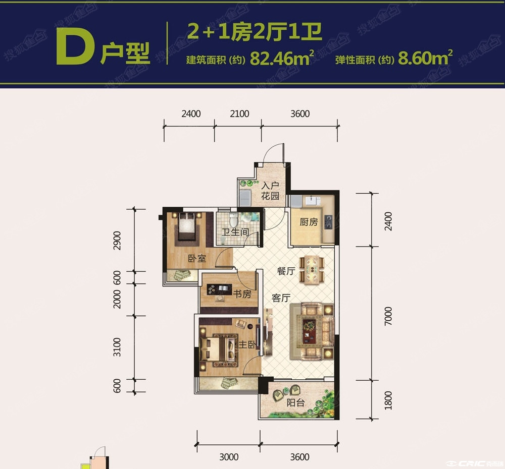 D户型图