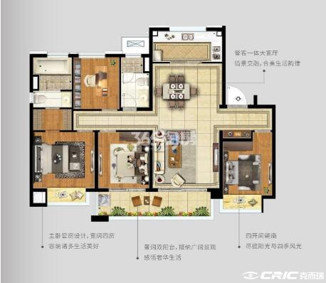 D户型图