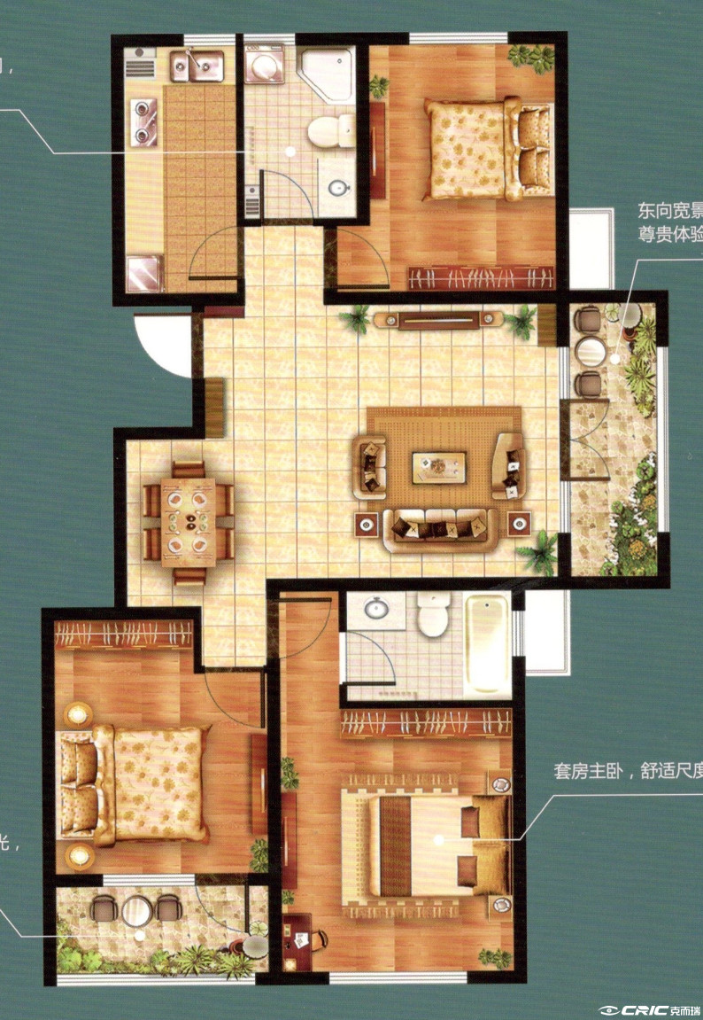 C户型图