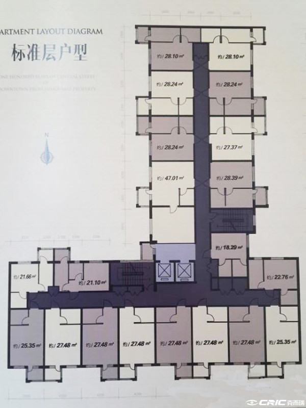 标准层户型户型图