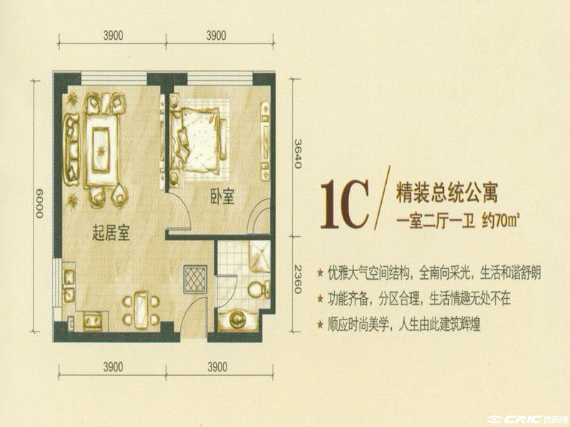 null户型图