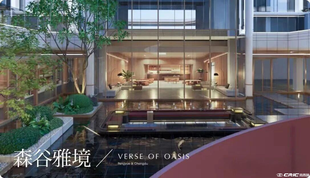 项目效果图