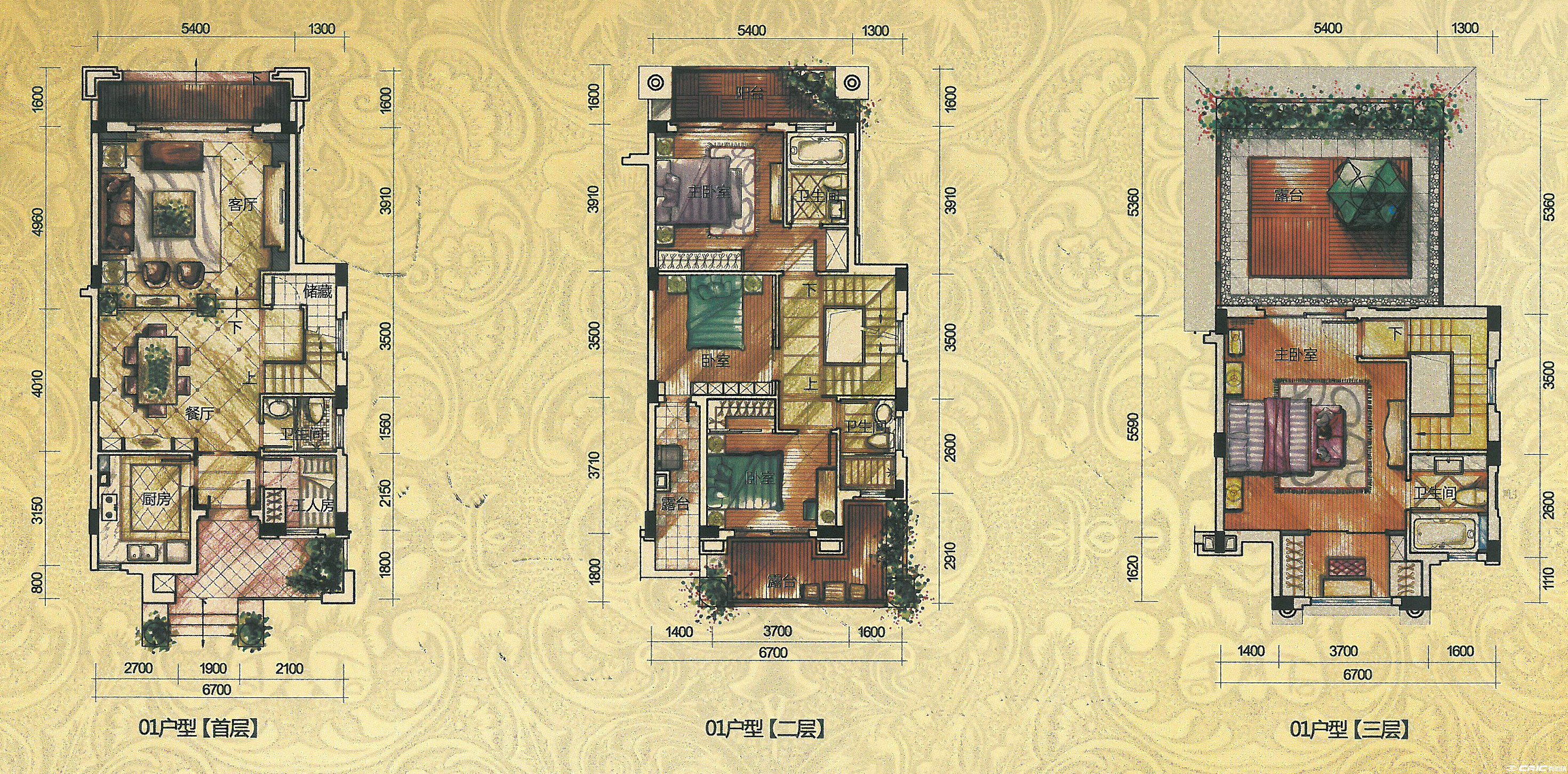 B1户型图