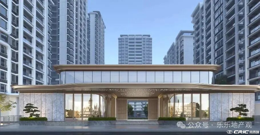项目效果图