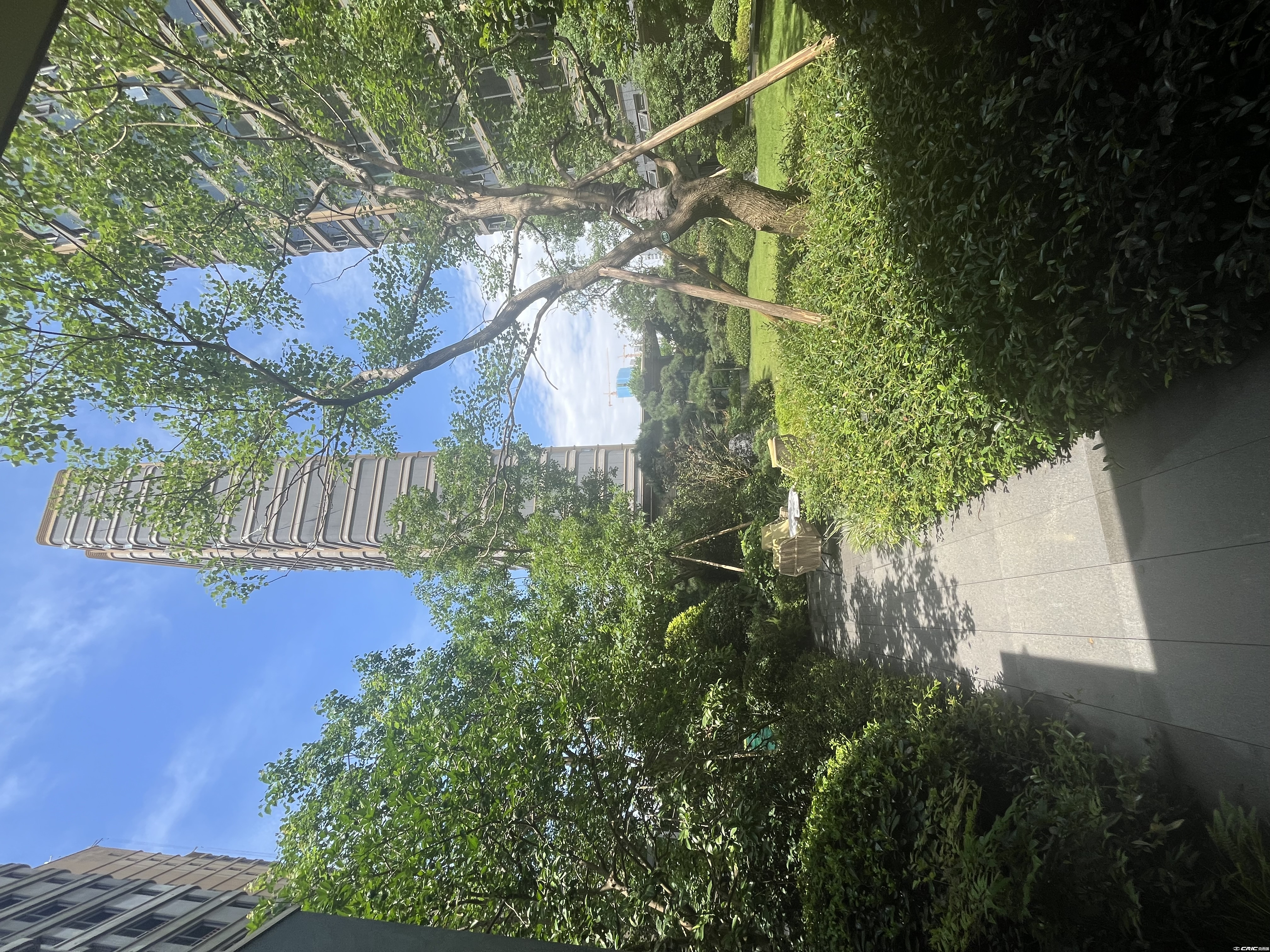 公共走廊