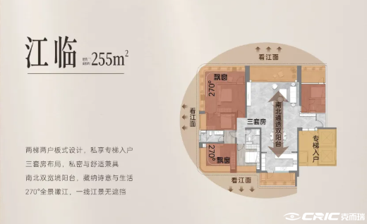 255©O户型图