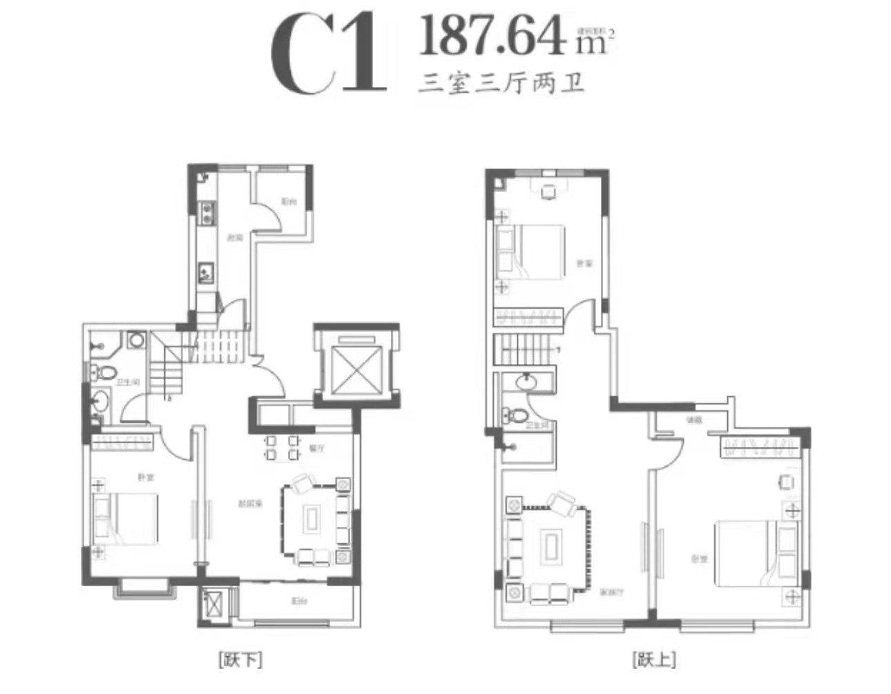 C1户型图