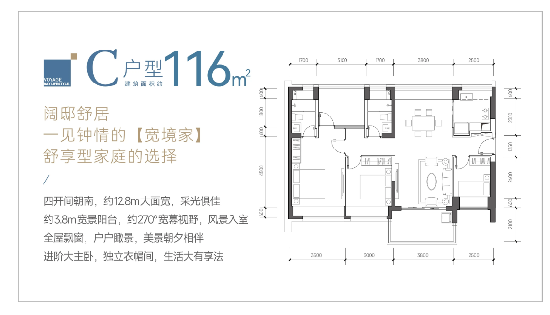 116户型图