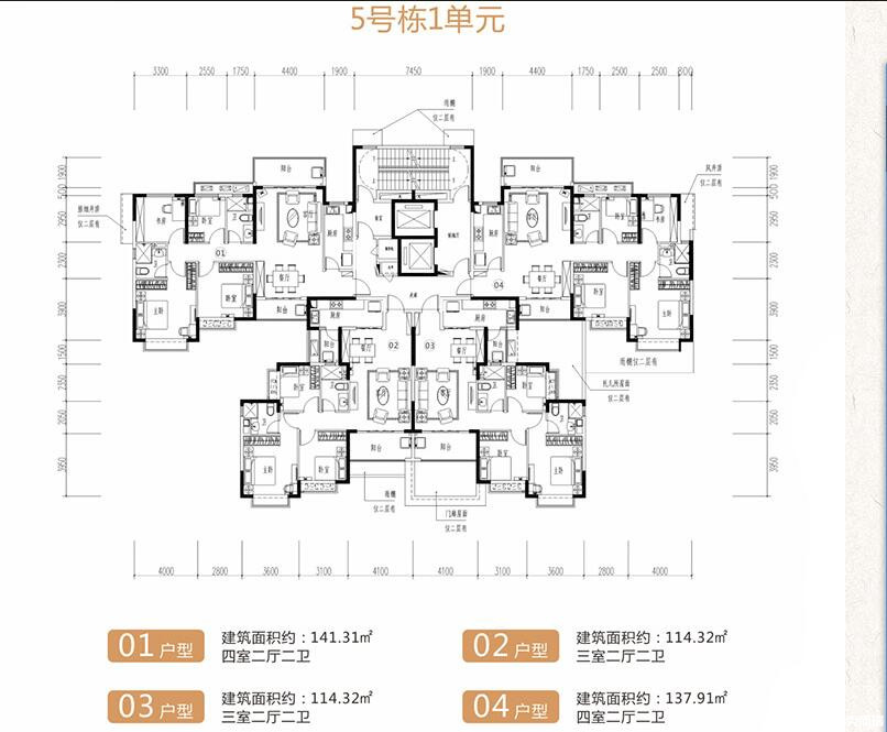 D户型图