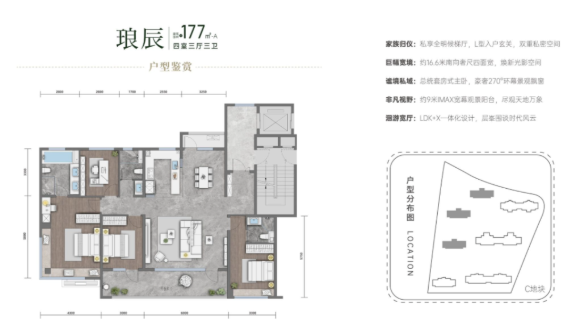 C-177户型图